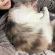 ヒメ日記 2025/11/03 08:47 投稿 ほのか マリン宮殿雄琴店