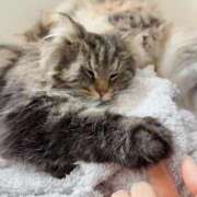 ほのか 気づいたら マリン宮殿雄琴店