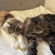 ヒメ日記 2025/12/13 17:27 投稿 ほのか マリン宮殿雄琴店