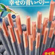 ヒメ日記 2025/02/05 00:11 投稿 藤井かりん エステdeシンデレラ横浜（シンデレラグループ）