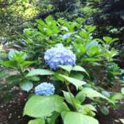 ヒメ日記 2025/12/30 07:20 投稿 菅野みき 西川口風俗ド淫乱ンド