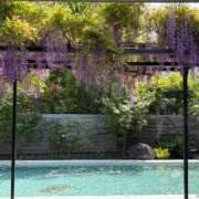 ヒメ日記 2026/04/26 11:27 投稿 実依(みい) 人妻出逢い会 百合の園 山の手本店