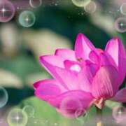 ヒメ日記 2024/12/28 12:16 投稿 ふみ 熟女の風俗アウトレット大垣安八羽島店