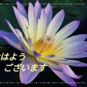 ヒメ日記 2024/12/29 09:36 投稿 ふみ 熟女の風俗アウトレット大垣安八羽島店