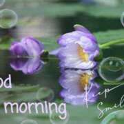 ヒメ日記 2025/01/04 09:46 投稿 ふみ 熟女の風俗アウトレット大垣安八羽島店