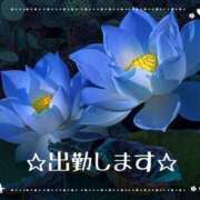 ヒメ日記 2025/04/19 11:16 投稿 ふみ 熟女の風俗アウトレット大垣安八羽島店