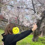 ヒメ日記 2025/04/05 13:46 投稿 ゆま すごいエステ 名古屋店