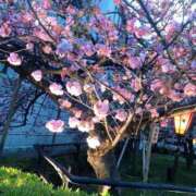 ヒメ日記 2025/04/08 12:16 投稿 ゆま すごいエステ 名古屋店