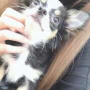 ヒメ日記 2025/05/13 18:06 投稿 ゆま すごいエステ 名古屋店