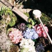 ヒメ日記 2025/06/25 21:05 投稿 ゆま すごいエステ 名古屋店