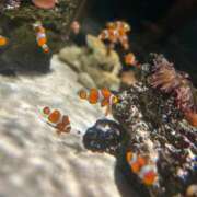 ヒメ日記 2025/08/26 15:15 投稿 ゆま すごいエステ 名古屋店