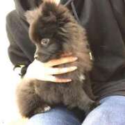 ヒメ日記 2025/11/01 13:05 投稿 ゆま すごいエステ 名古屋店