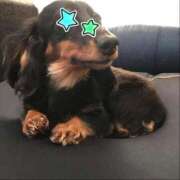 ヒメ日記 2025/11/04 17:05 投稿 ゆま すごいエステ 名古屋店