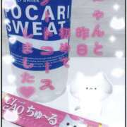 ヒメ日記 2025/11/14 10:36 投稿 なお club さくら日本橋店