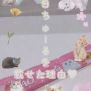 ヒメ日記 2025/11/15 10:36 投稿 なお 奥様さくら日本橋店