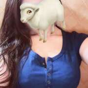 ヒメ日記 2025/07/07 06:49 投稿 RAMU『ラム』 GG