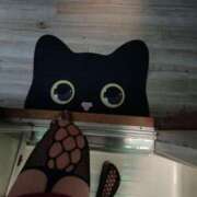 ヒメ日記 2024/12/29 18:15 投稿 ちえ Tuntuni輝きポチャ専門