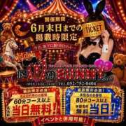 パイン☆高身長爆乳バニー♪ ＼ 口コミ投稿で “でら” お得！ ／ ドMなバニーちゃん 名古屋・池下店
