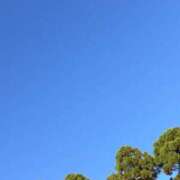 ヒメ日記 2024/12/23 15:47 投稿 しゅり 鹿児島ちゃんこ 薩摩川内店