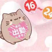 ヒメ日記 2025/05/03 10:07 投稿 しゅり 鹿児島ちゃんこ 薩摩川内店