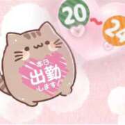 ヒメ日記 2025/05/17 19:10 投稿 しゅり 鹿児島ちゃんこ 薩摩川内店