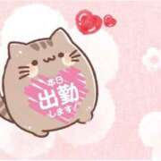 ヒメ日記 2025/06/13 17:30 投稿 しゅり 鹿児島ちゃんこ 薩摩川内店