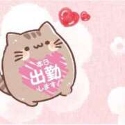 ヒメ日記 2025/11/01 15:27 投稿 しゅり 鹿児島ちゃんこ 薩摩川内店