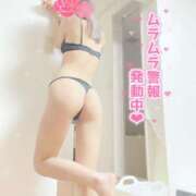 ヒメ日記 2025/08/14 14:45 投稿 あかね 奥さま食堂