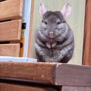 ヒメ日記 2025/06/24 00:47 投稿 あかり マリン宮殿雄琴店