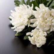 ヒメ日記 2025/06/03 23:42 投稿 咲/Saki ジュリエット