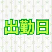 ヒメ日記 2025/11/01 08:54 投稿 咲/Saki ジュリエット