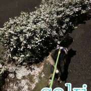 ヒメ日記 2026/01/12 22:21 投稿 咲/Saki ジュリエット