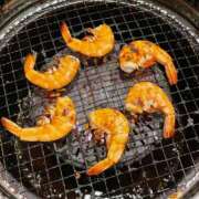 ヒメ日記 2026/02/08 20:27 投稿 咲/Saki ジュリエット