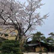 ヒメ日記 2026/04/07 00:06 投稿 咲/Saki ジュリエット