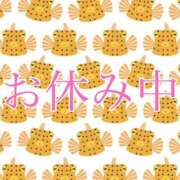 ヒメ日記 2026/07/15 20:33 投稿 咲/Saki ジュリエット