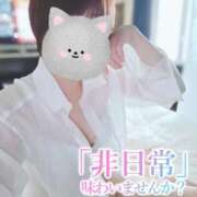 ヒメ日記 2025/09/12 17:08 投稿 ちあき 成田人妻花壇