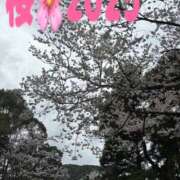 ヒメ日記 2025/04/02 20:10 投稿 ゆりこ 妻天 尼崎店