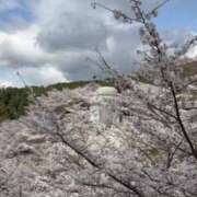 ヒメ日記 2025/04/08 15:40 投稿 ゆりこ 妻天 尼崎店