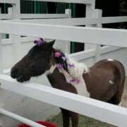 ヒメ日記 2025/04/20 14:50 投稿 ゆりこ 妻天 尼崎店