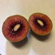 ヒメ日記 2025/05/26 17:40 投稿 ゆりこ 妻天 尼崎店