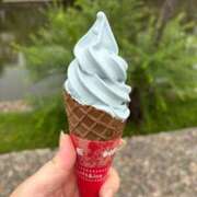 ヒメ日記 2025/08/21 12:50 投稿 ゆりこ 妻天 尼崎店