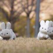 ヒメ日記 2025/01/08 06:59 投稿 伊藤りこ 鶯谷デッドボール