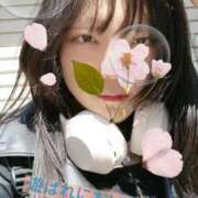 ヒメ日記 2025/03/21 16:12 投稿 伊藤りこ 鶯谷デッドボール