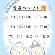 ヒメ日記 2025/04/03 14:29 投稿 伊藤りこ 鶯谷デッドボール