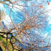 ヒメ日記 2025/11/29 21:01 投稿 伊藤りこ 鶯谷デッドボール