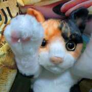 ヒメ日記 2025/09/05 10:08 投稿 白羽 優梨☆清廉清純清楚な幼女系 MARVELOUS