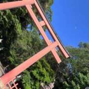 ヒメ日記 2024/12/30 09:49 投稿 みみ 迷宮の人妻　熊谷・行田発