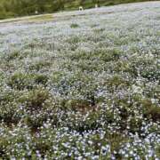 ヒメ日記 2025/02/24 16:12 投稿 みみ 迷宮の人妻　熊谷・行田発