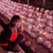 ヒメ日記 2026/03/27 13:19 投稿 みみ 迷宮の人妻　熊谷・行田発