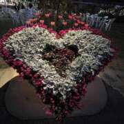 ヒメ日記 2025/02/21 23:31 投稿 みみ 迷宮の人妻 古河・久喜発